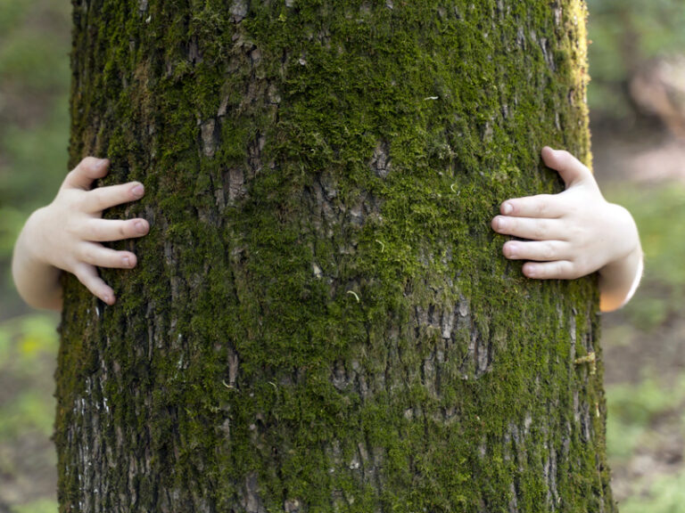 Natur – Artenschutz